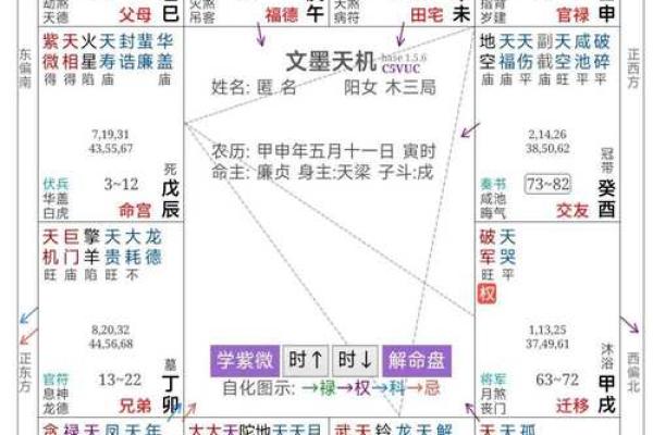 夫妻宫自化忌，夫妻宫自化忌