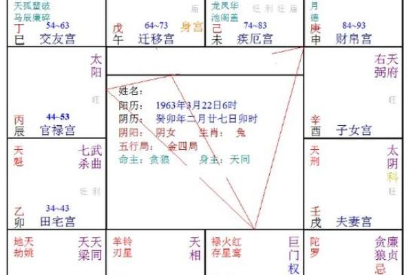 哪一天出生的人命带紫微星，紫微星出生的前兆