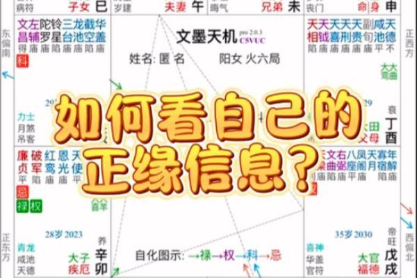 紫微斗数看正缘长相，紫薇斗数算正缘准吗