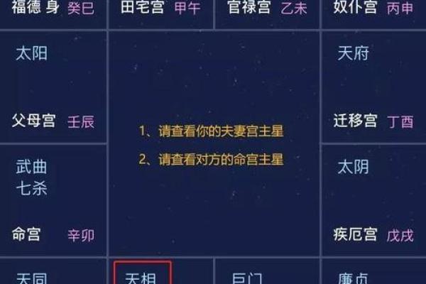 紫薇斗数解盘，紫微斗数解盘软件