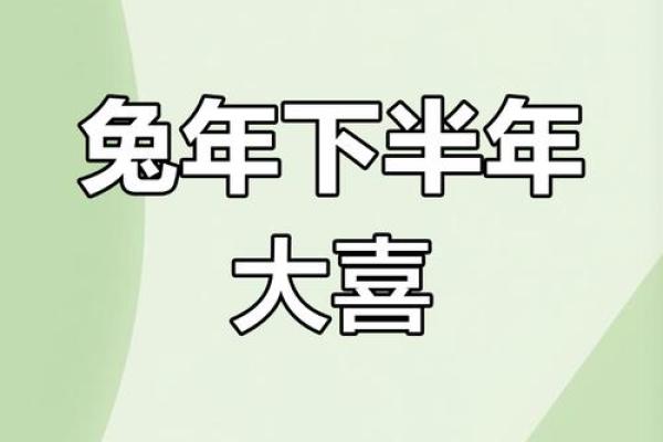 87年的兔男在2023年的运势怎么样_2023年87年兔男运势解析财运事业感情全揭秘