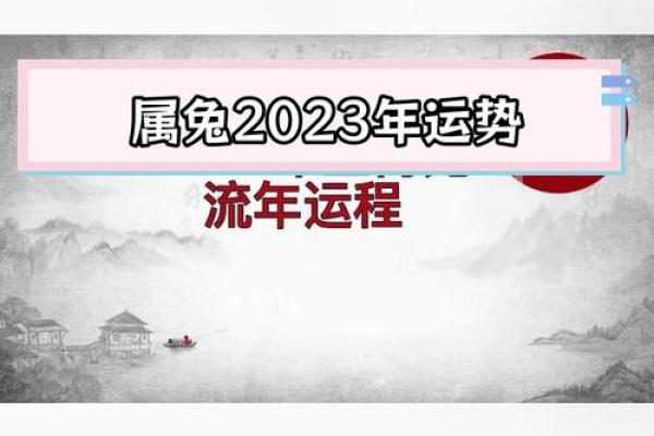 87年的兔男在2023年的运势怎么样_2023年87年兔男运势解析财运事业感情全揭秘