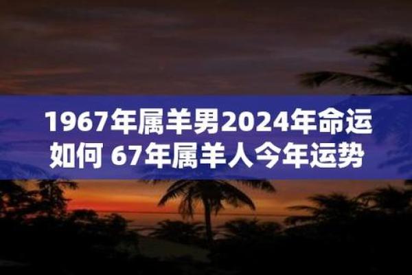 67年男属羊人2023年全年运势 67年属羊男2023年运势详解全年运程大揭秘