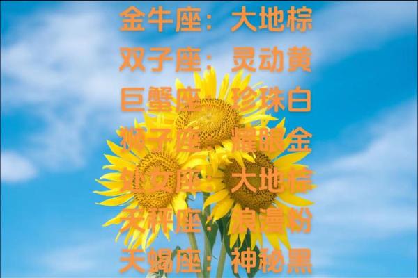 12月12星座运势 星吧12星座12月运势