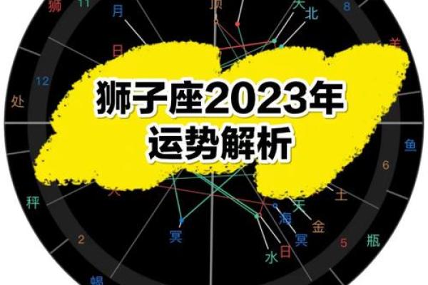 狮子座男今年运势_2024年狮子座男运势解析事业爱情双丰收