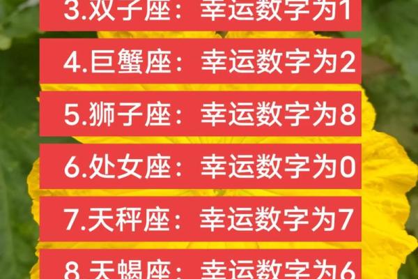 白羊座昨日运势查询 白羊座昨日运势查询运势解析与未来展望
