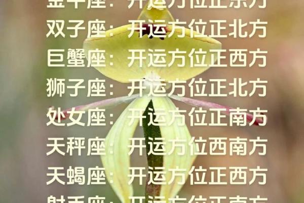 谁的星座运势预测最准 谁的星座运势预测最准权威排名揭晓