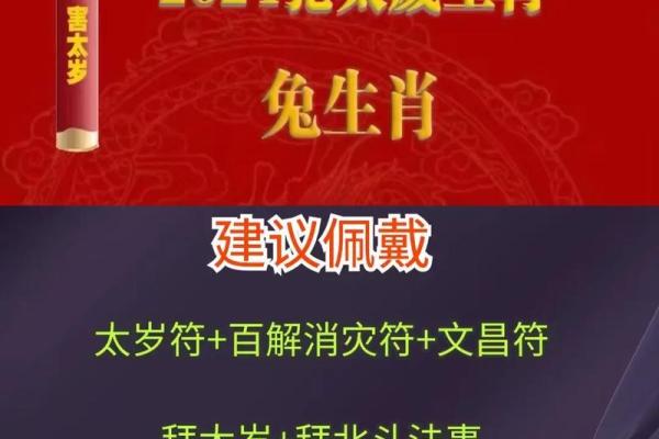 1975年属兔男在2024年感情运势_75年属兔2024年运势及运程