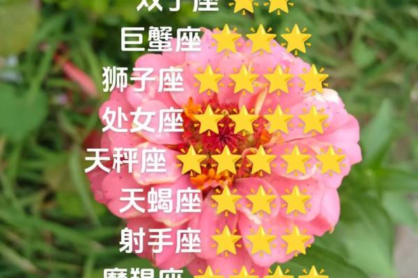 美国神婆网星座运势白羊座今日运势_美国神婆星座网2021年白羊座运势