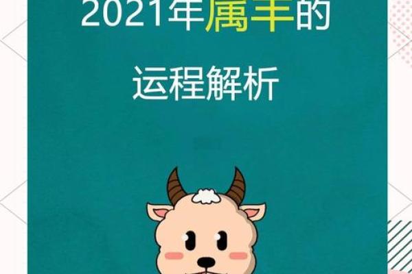 属羊今年的运势怎么样_属羊今年的运势如何2021