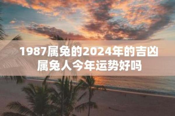87兔男的财运_87兔男财运大揭秘如何提升财富运势