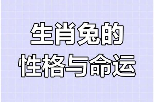 1999年属兔男在2023年婚姻运势怎么样 1999年属兔男23岁以后一生命运