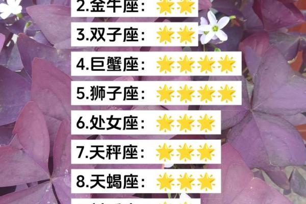 10月星座运势查询12星座本月运势全解析