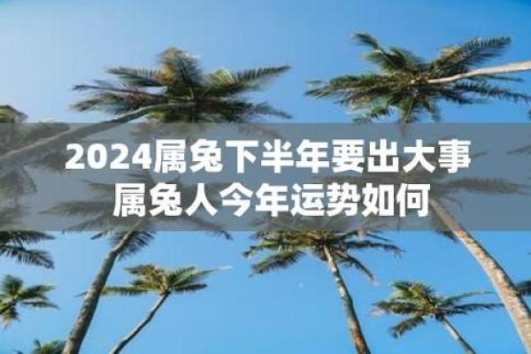 75年兔男在2024年的运程_75年兔男在2022年运势