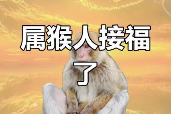 80年男属猴2024年财运怎么样 2024年80年属猴男财运解析运势如何