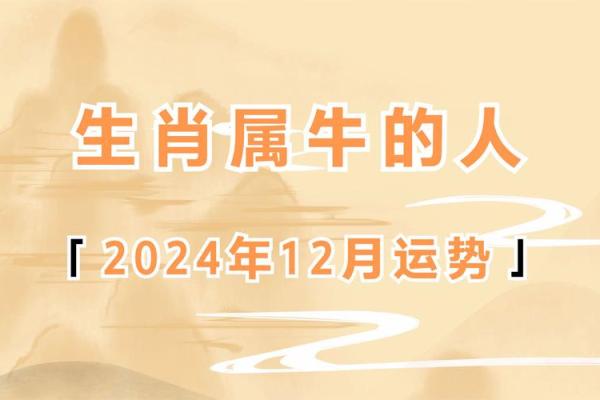 金牛的运势_2024年金牛座运势解析财运与爱情双丰收