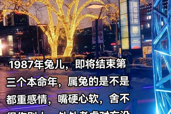 1987属兔结婚吉日(87年兔2021结婚吉月)