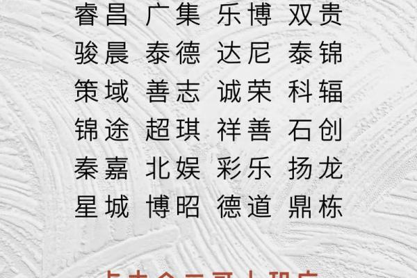 互联网公司名字起名大全(新颖的互联网公司名字)