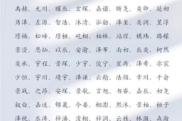 2023年男孩大气有涵养的名字(2030年男孩名字)