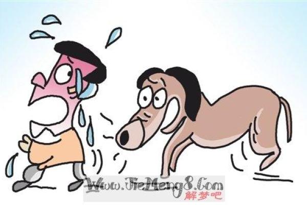女人梦见一路上不停捡钱(女人梦见一路上不停捡钱捡到55万)