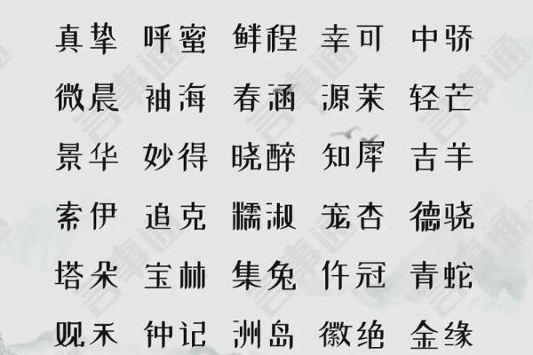 机电公司起名(机电公司起名字大全免费2个字)