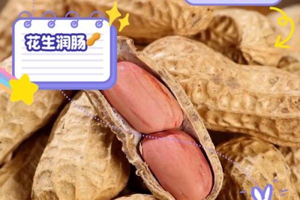 梦见吃花生是什么预兆(梦见吃花生是什么预兆周公解梦)