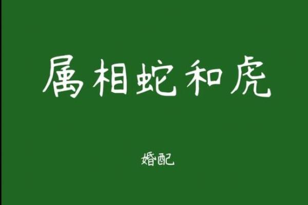 3月领证吉日虎和蛇合适吗