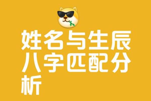 生辰八字姓名测试免费(生辰八字姓名测试免费查询)