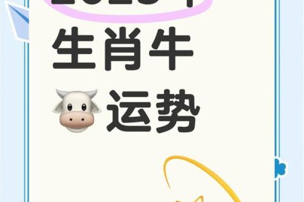 2024年属牛双子座运势(2024年属鼠人的全年运势1984出生)
