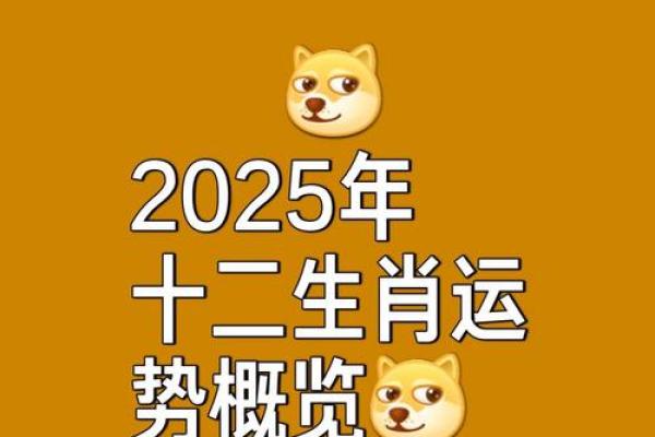 2025年属鼠理发黄道吉日(属鼠2022年吉星)