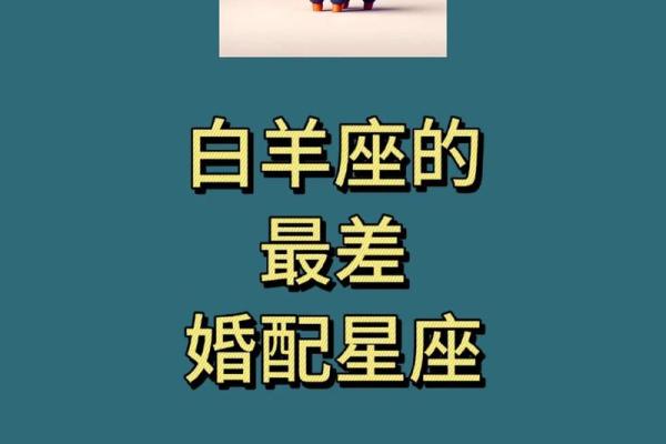 白双子座今日运势(双子座今日运势)