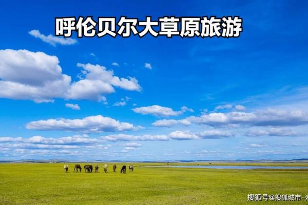 草原旅游公司名字(草原旅游公司名字怎么取)