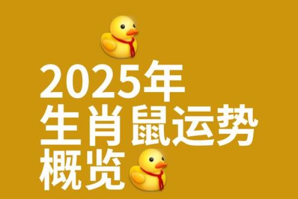 属鼠双子座2025年运势完整版(生肖鼠双子座2021年运势大全)