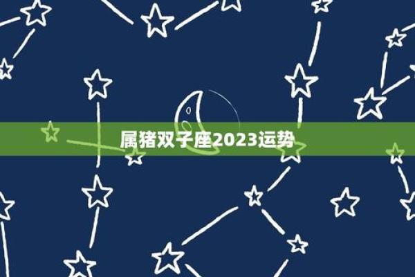 双子座属猪女2024年运势(双子属猪女2021年9月运势)
