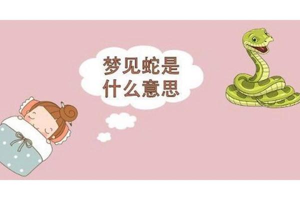 做梦梦到蛇是什么征兆(做梦梦到两条蛇是什么征兆)