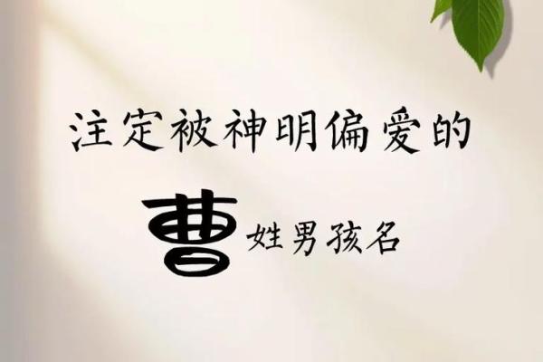 曹字取名女孩名字大全(曹字起名女孩叫什么好)