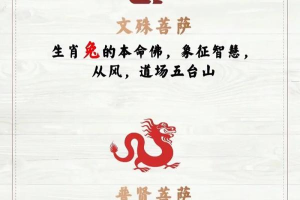 双子座本命年运势(双子座本命年运势怎么样)