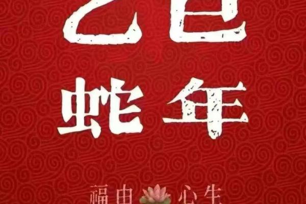 属蛇巨蟹座2024年的全年运势如何(蛇年巨蟹座2022年运势)