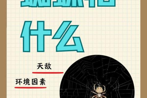 梦到蜘蛛是什么征兆 女性(梦到蜘蛛是什么征兆 女性怀孕)