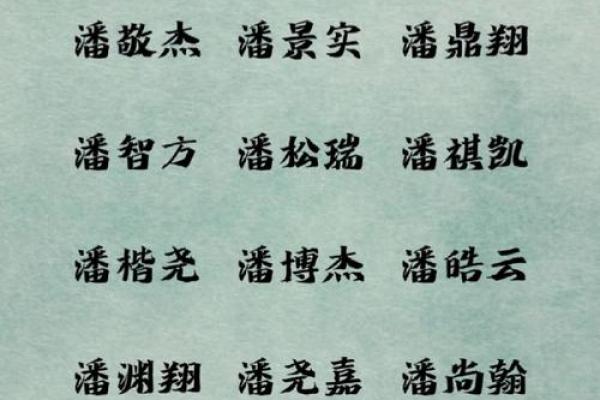 潘姓男孩起名大全吉祥(潘姓男孩最好听的名字)