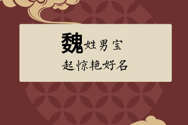 魏起名字女孩名字大全(魏字女孩名字洋气)
