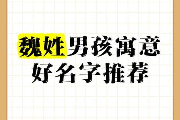 魏起名字女孩名字大全(魏字女孩名字洋气)