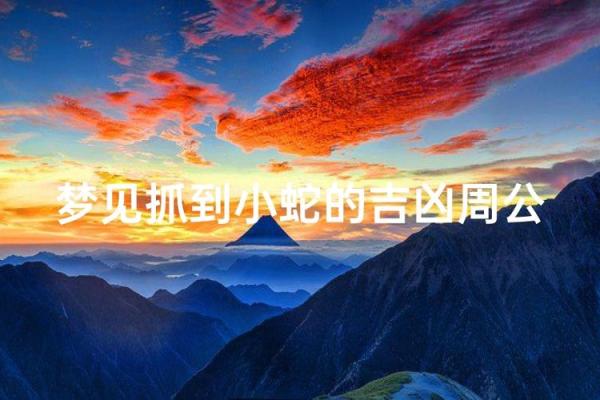梦见小蛇是什么预兆(梦见小蛇是什么预兆周公解梦)