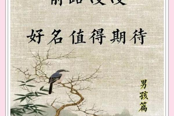 古诗取名男孩名字大全(古诗名字男孩名字大全)