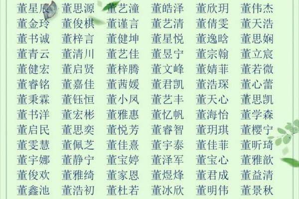 董姓男孩好名字大全(董姓男孩名字且有寓意)