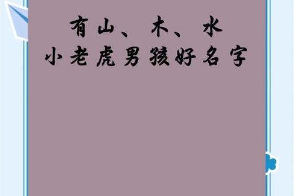男孩名字大全 取名属虎(男孩名字寓意好的名字)