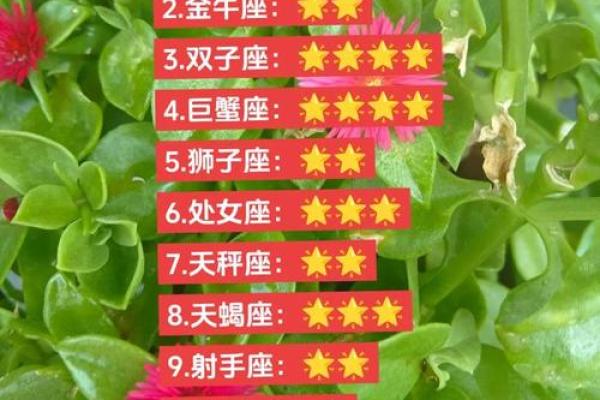 巨蟹座财运方向在哪里(巨蟹座财运在哪个方向)
