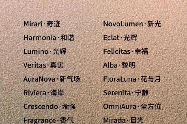 公司取名英语(公司取英文名字)