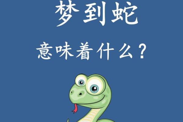 女人梦见蛇是好事还是坏事(女人梦见蛇是好事还是坏事,梦见很多蛇被打死)