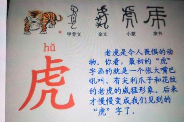 梦到老虎是什么征兆 男性(梦到老虎是什么征兆 男性周公解梦)